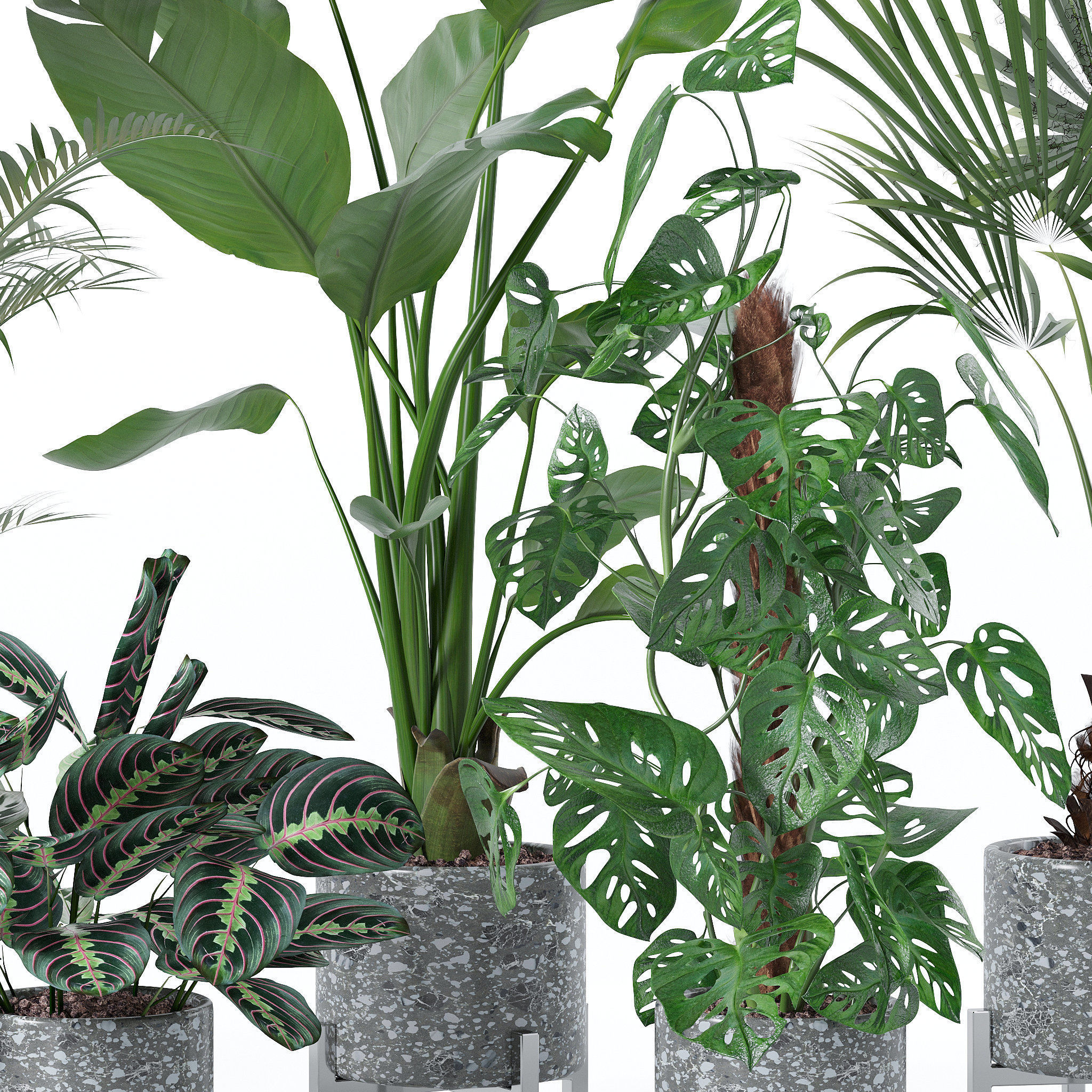 20 Photorealistic Flowers for Interiors - set 120 121 129 130 3D Model Collection_26