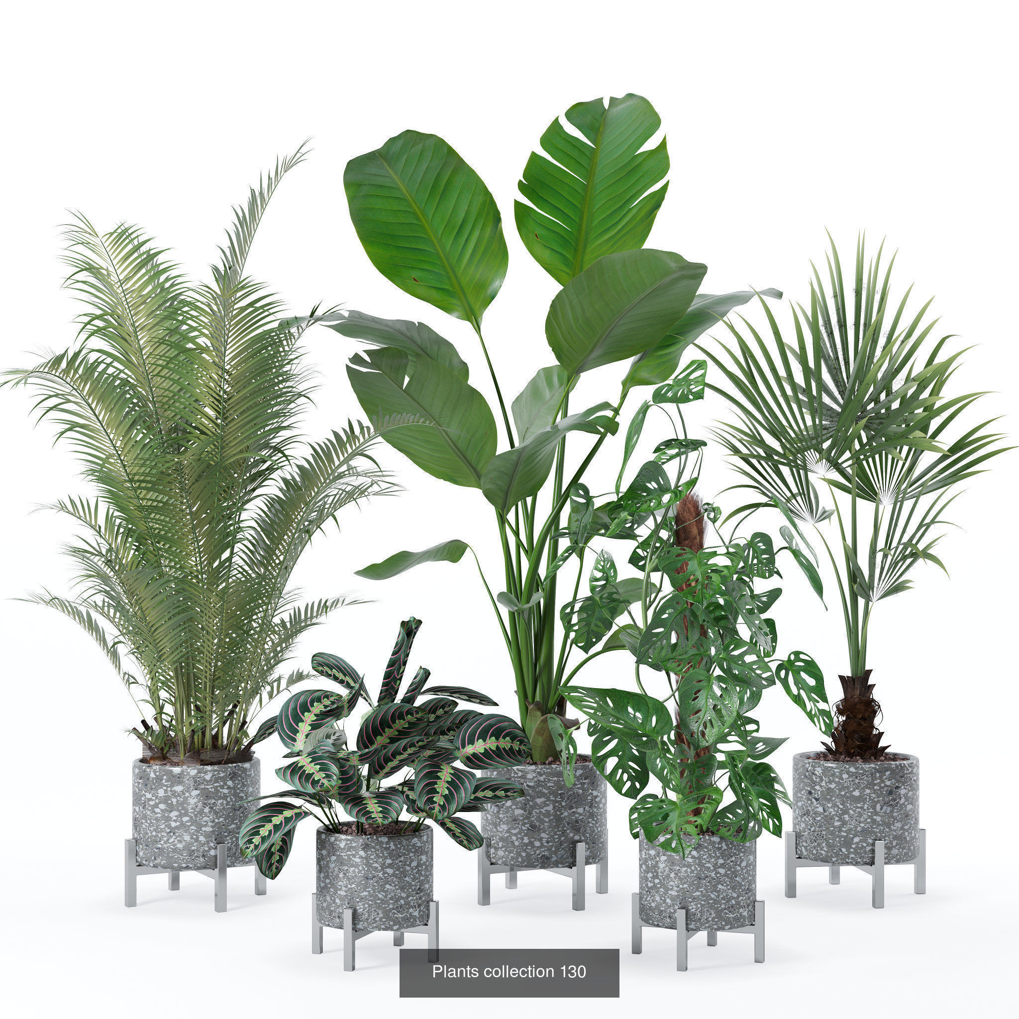 20 Photorealistic Flowers for Interiors - set 120 121 129 130 3D Model Collection_4