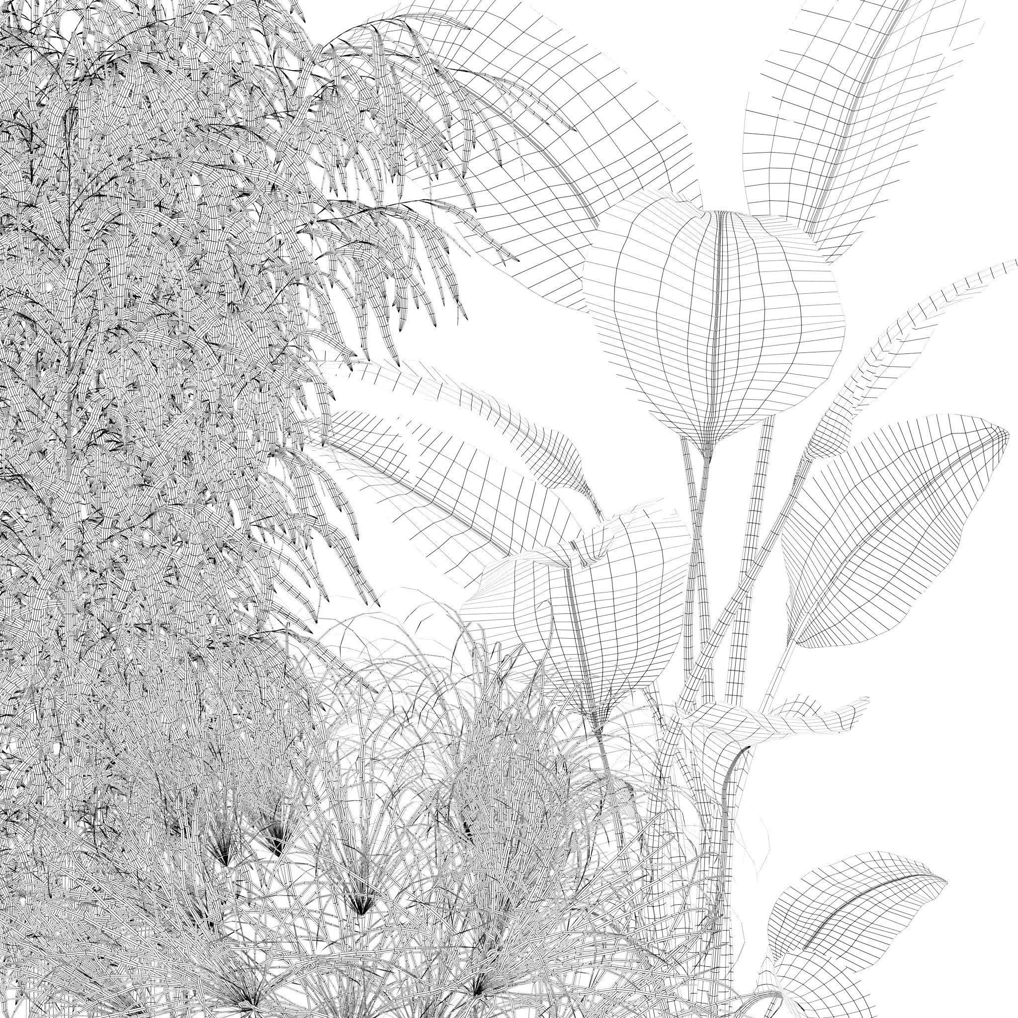 20 Photorealistic Flowers for Interiors - set 120 121 129 130 3D Model Collection_21