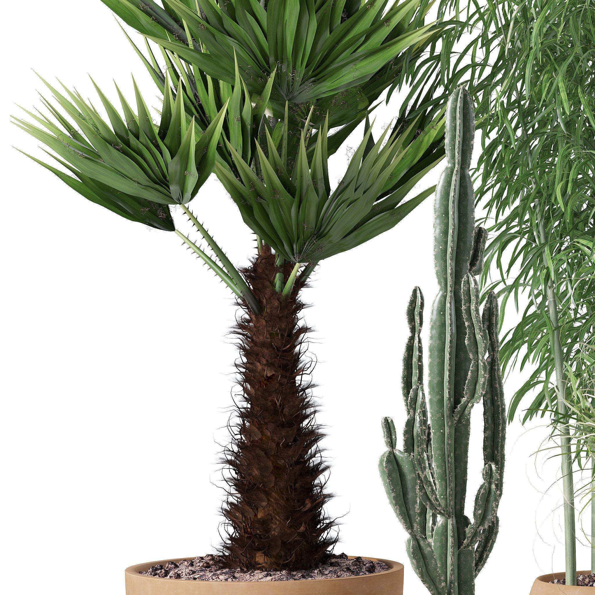 20 Photorealistic Flowers for Interiors - set 120 121 129 130 3D Model Collection_20