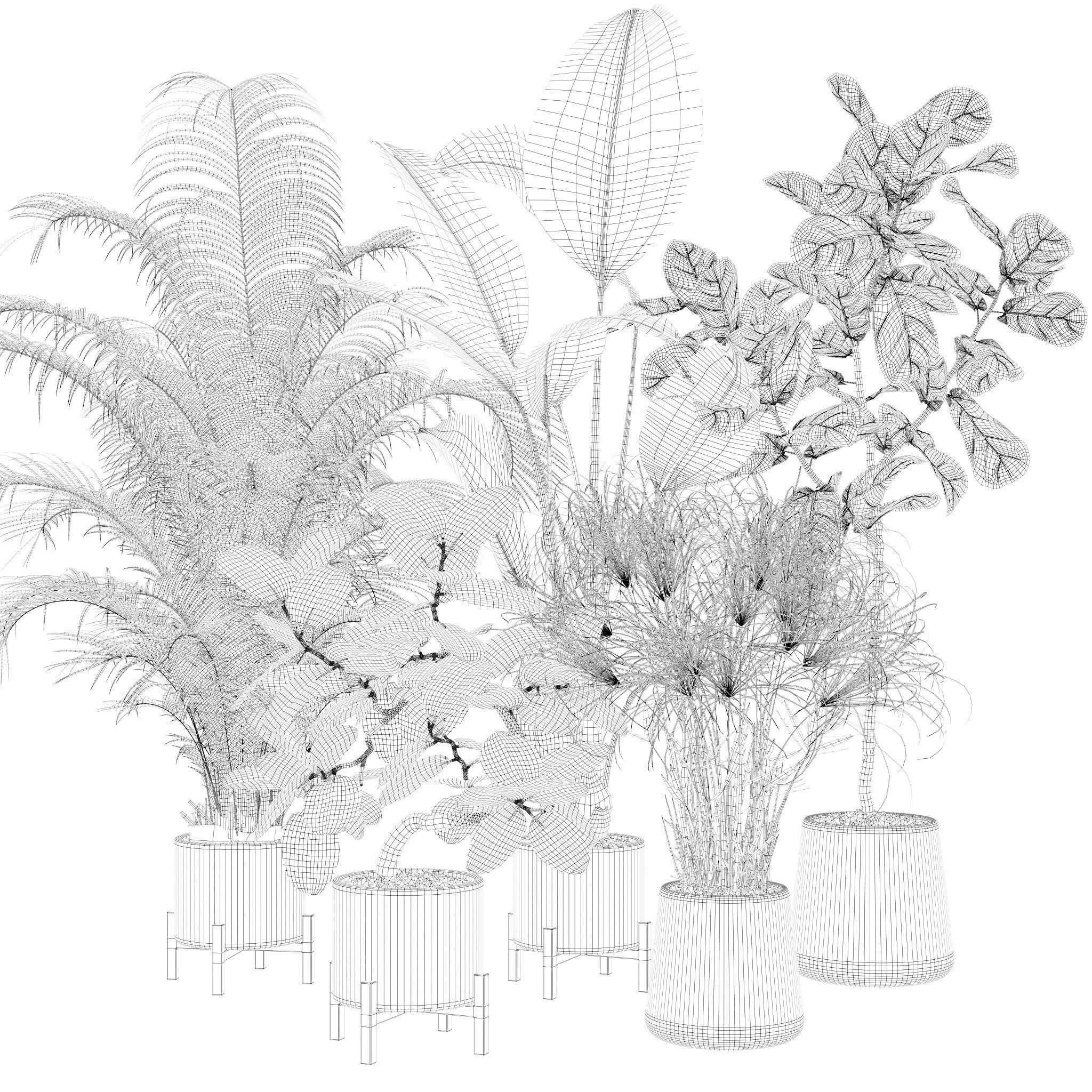 20 Photorealistic Flowers for Interiors - set 120 121 129 130 3D Model Collection_9