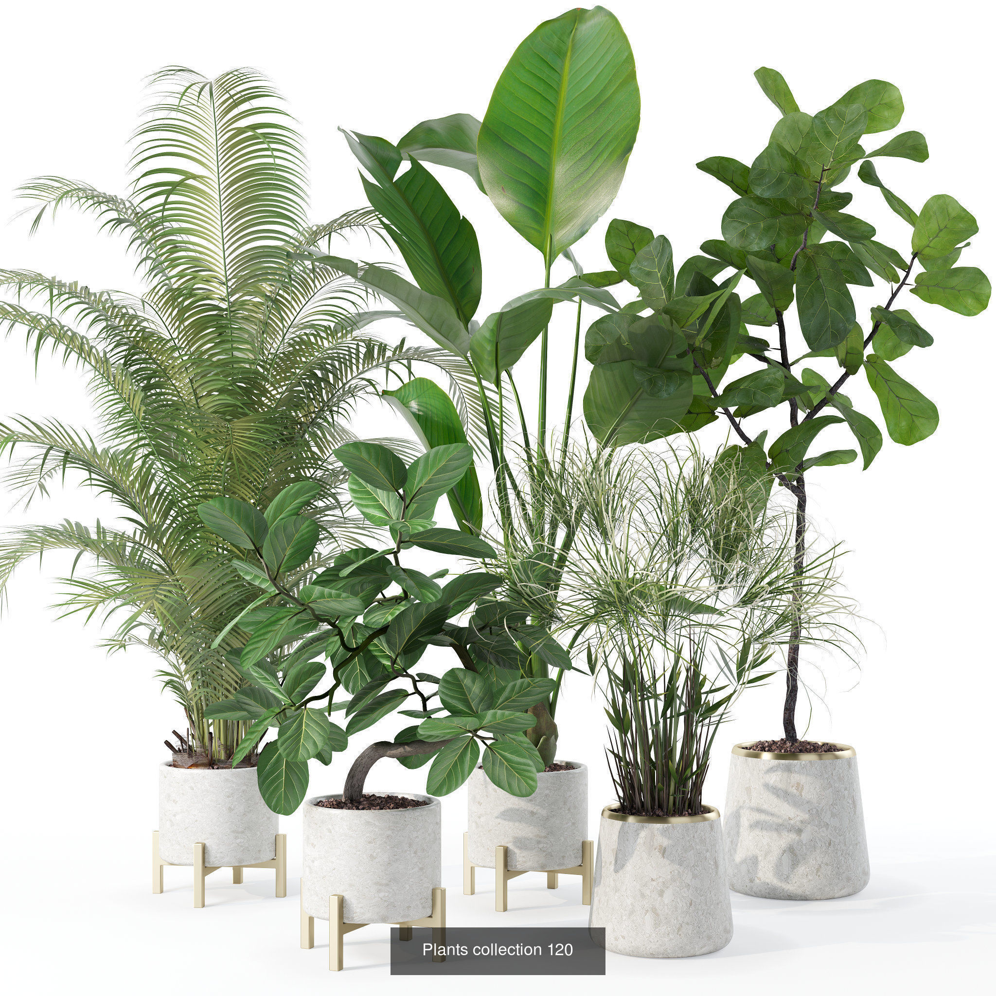 20 Photorealistic Flowers for Interiors - set 120 121 129 130 3D Model Collection_1