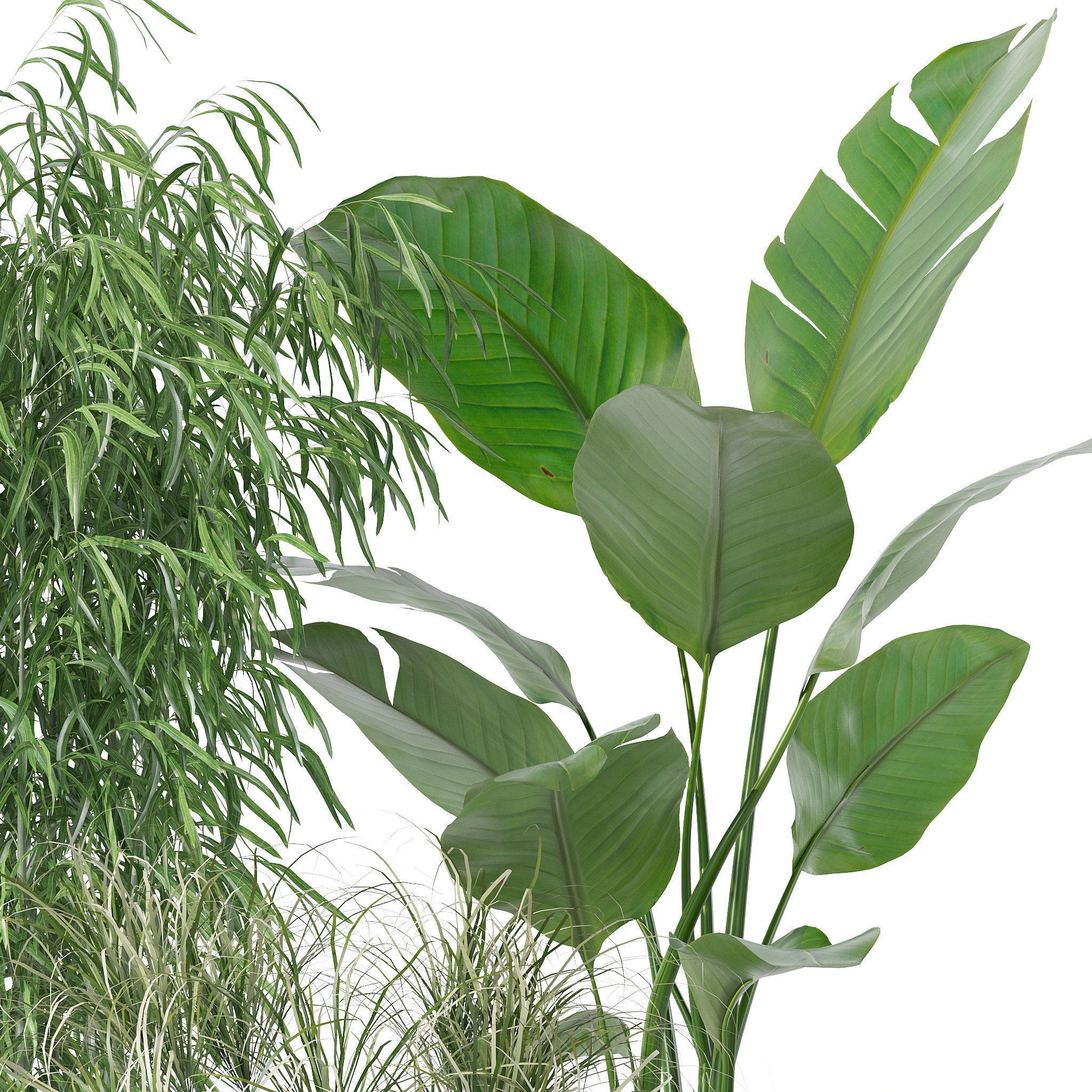 20 Photorealistic Flowers for Interiors - set 120 121 129 130 3D Model Collection_25