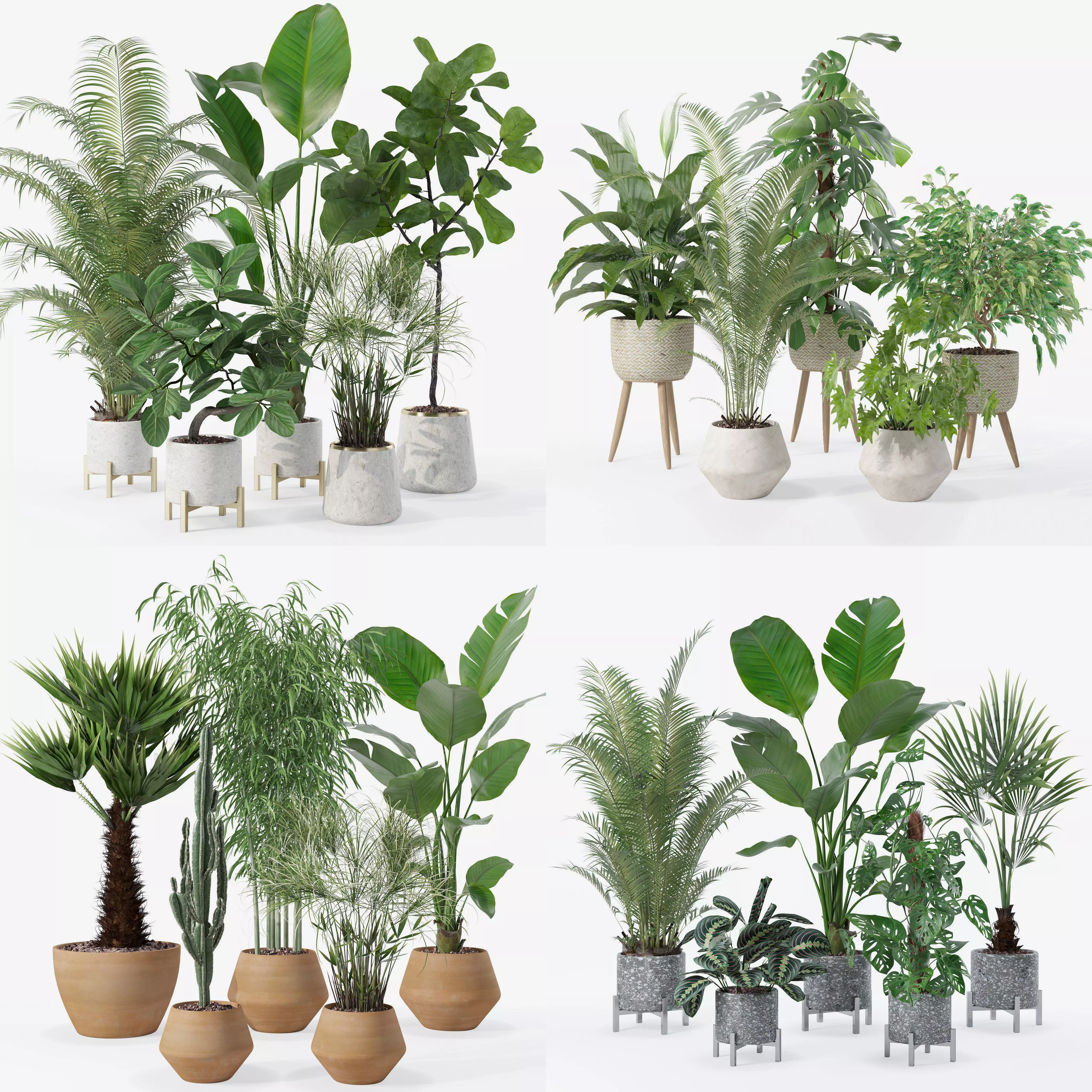 20 Photorealistic Flowers for Interiors - set 120 121 129 130 3D Model Collection_0