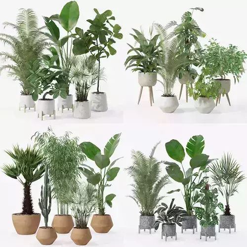 20 Photorealistic Flowers for Interiors - set 120 121 129 130 3D Model Collection