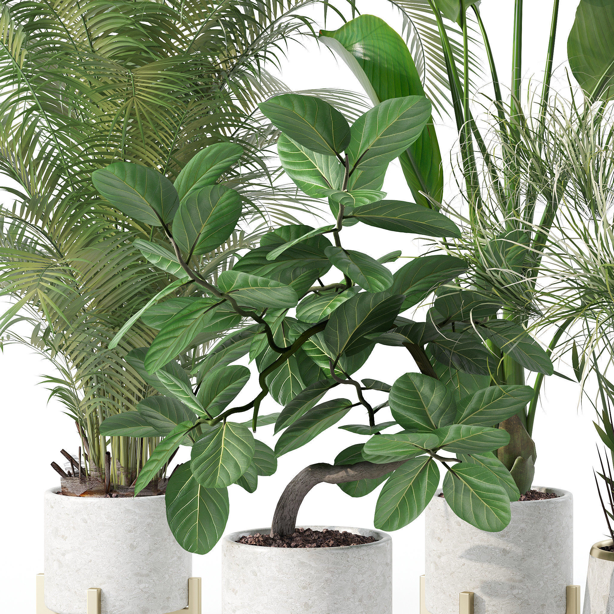 20 Photorealistic Flowers for Interiors - set 120 121 129 130 3D Model Collection_11