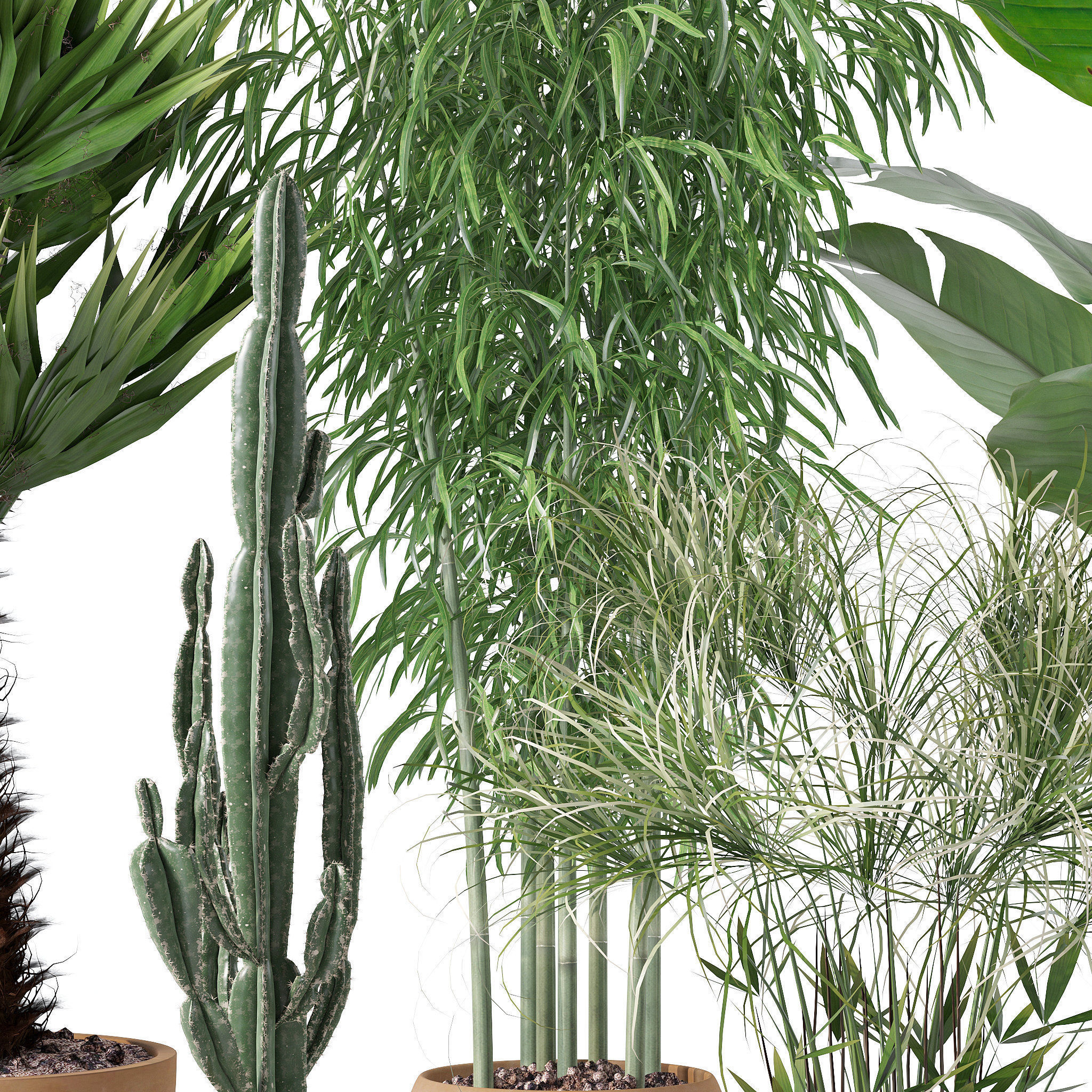 20 Photorealistic Flowers for Interiors - set 120 121 129 130 3D Model Collection_22