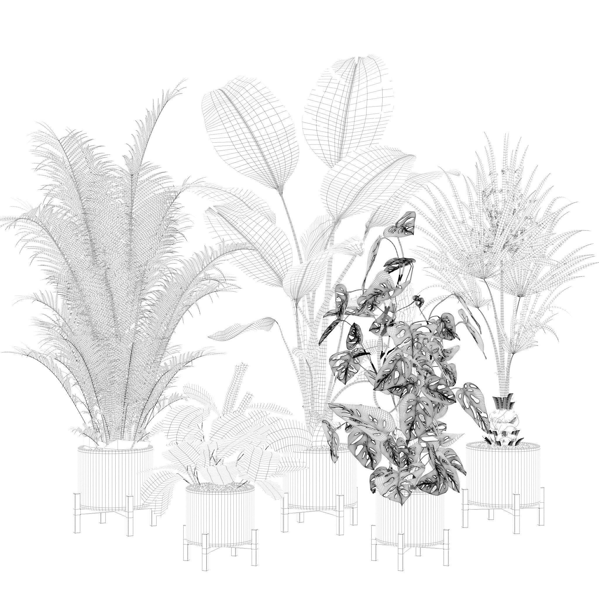 20 Photorealistic Flowers for Interiors - set 120 121 129 130 3D Model Collection_30