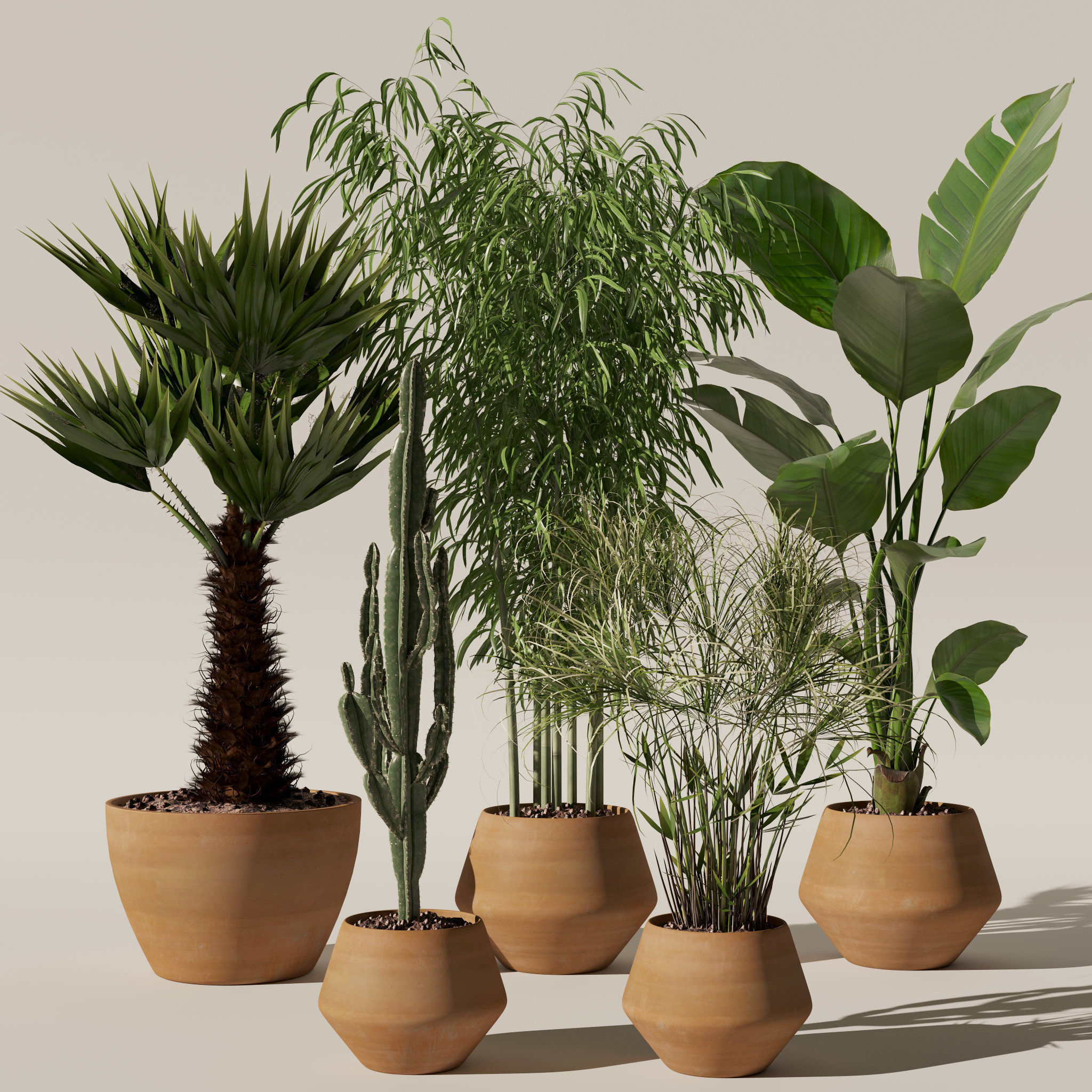 20 Photorealistic Flowers for Interiors - set 120 121 129 130 3D Model Collection_23