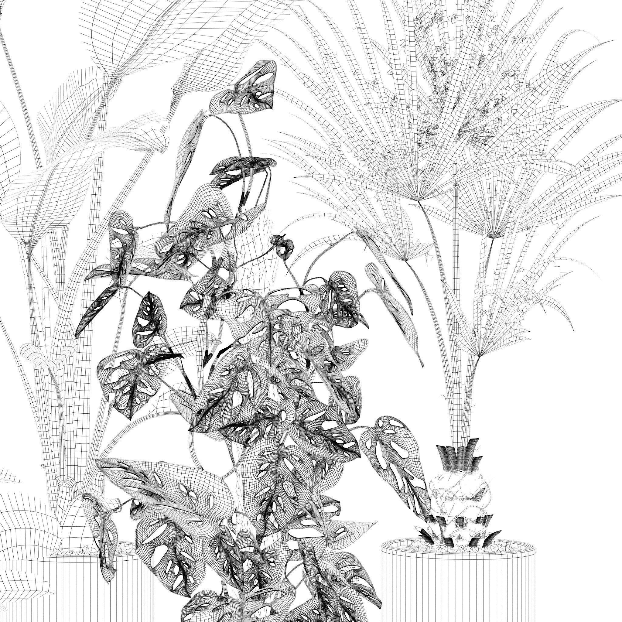 20 Photorealistic Flowers for Interiors - set 120 121 129 130 3D Model Collection_29