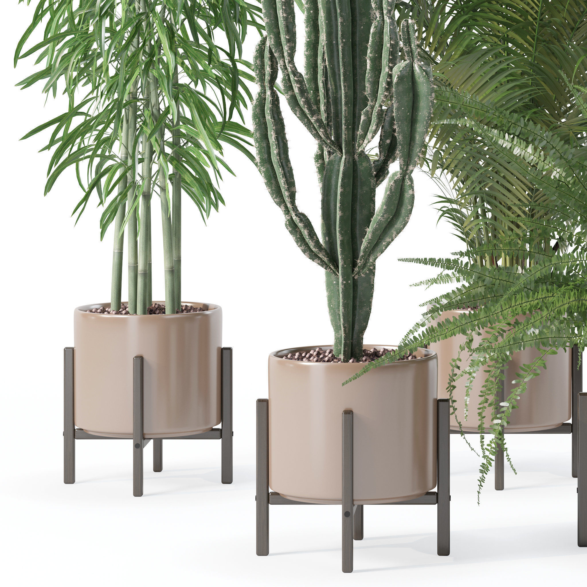 Plants collection 137 3D model_18