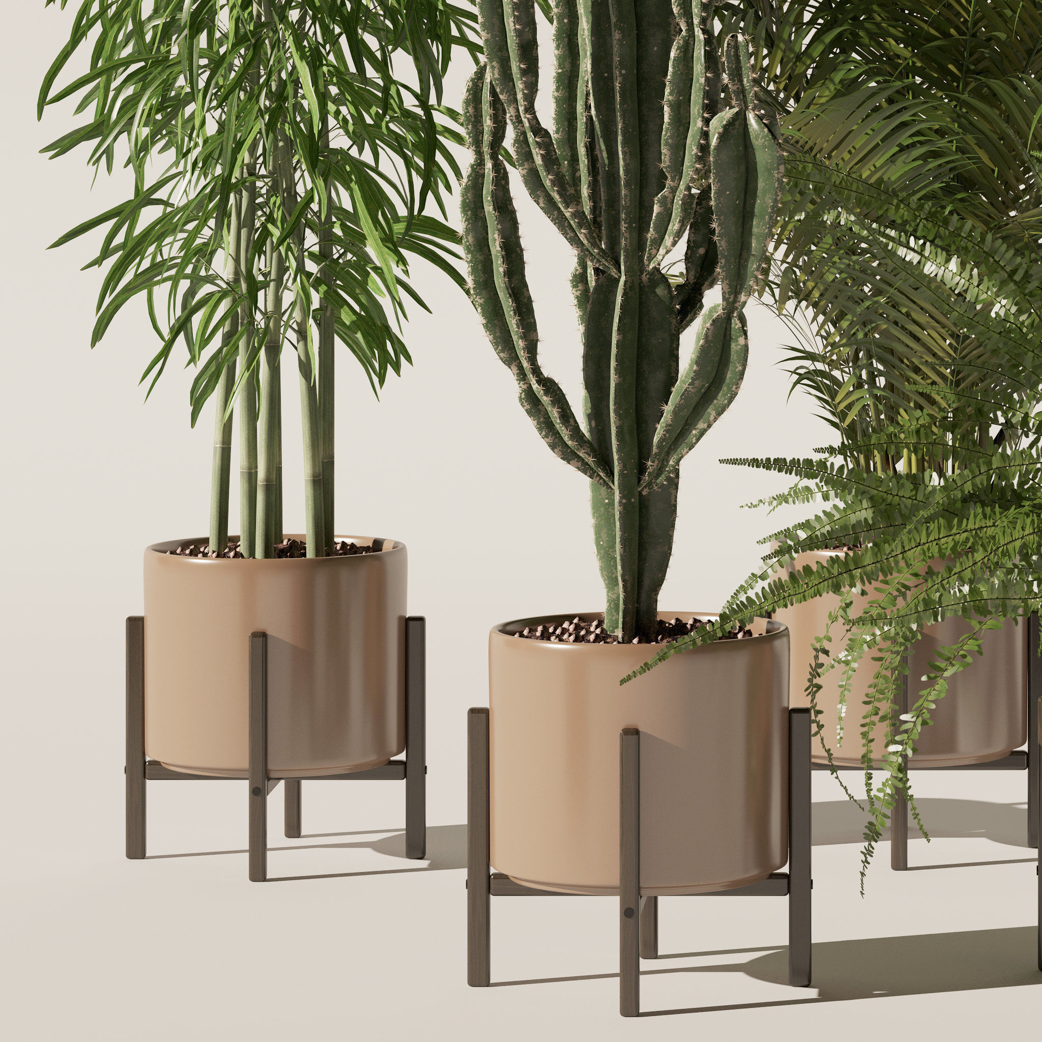 Plants collection 137 3D model_19