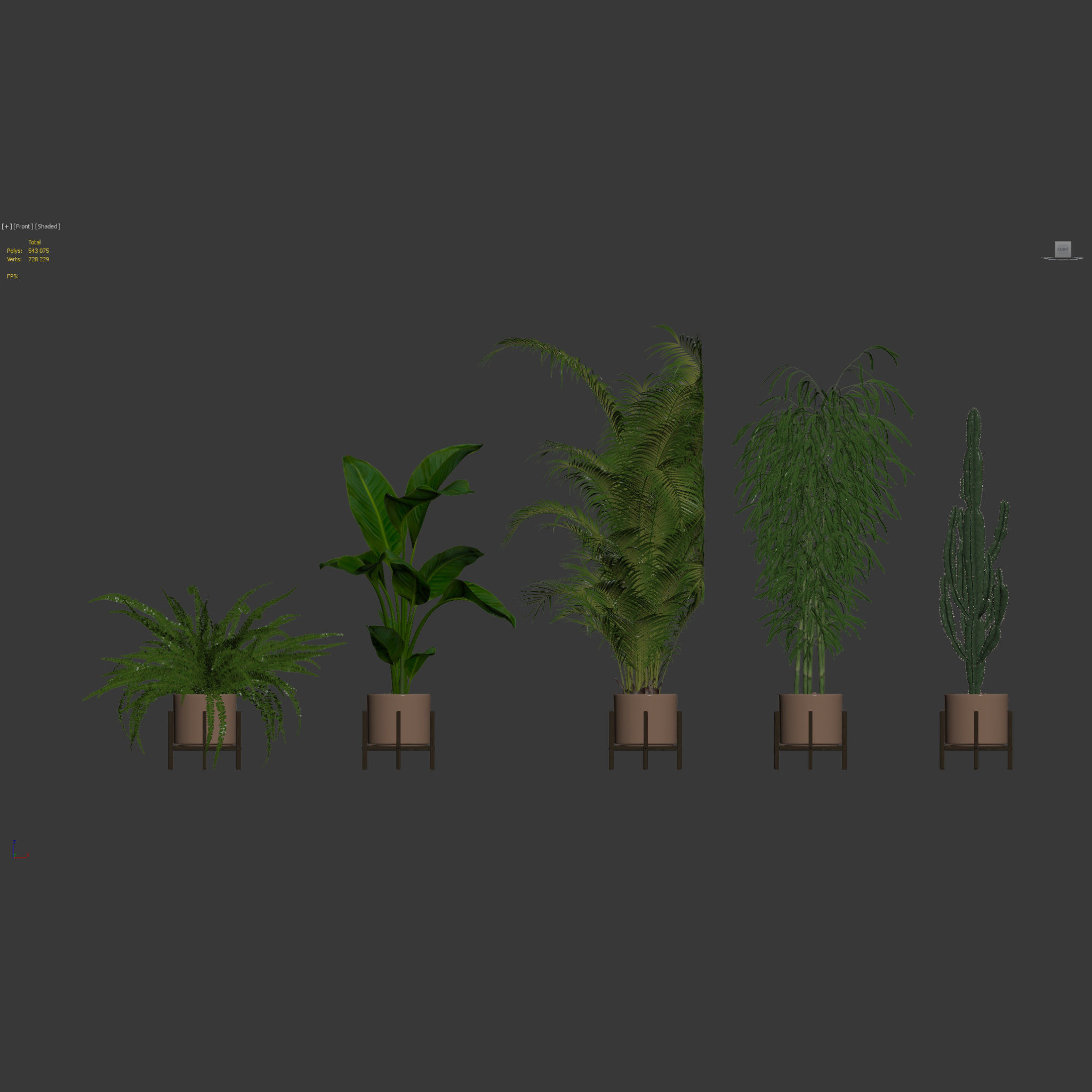 Plants collection 137 3D model_6