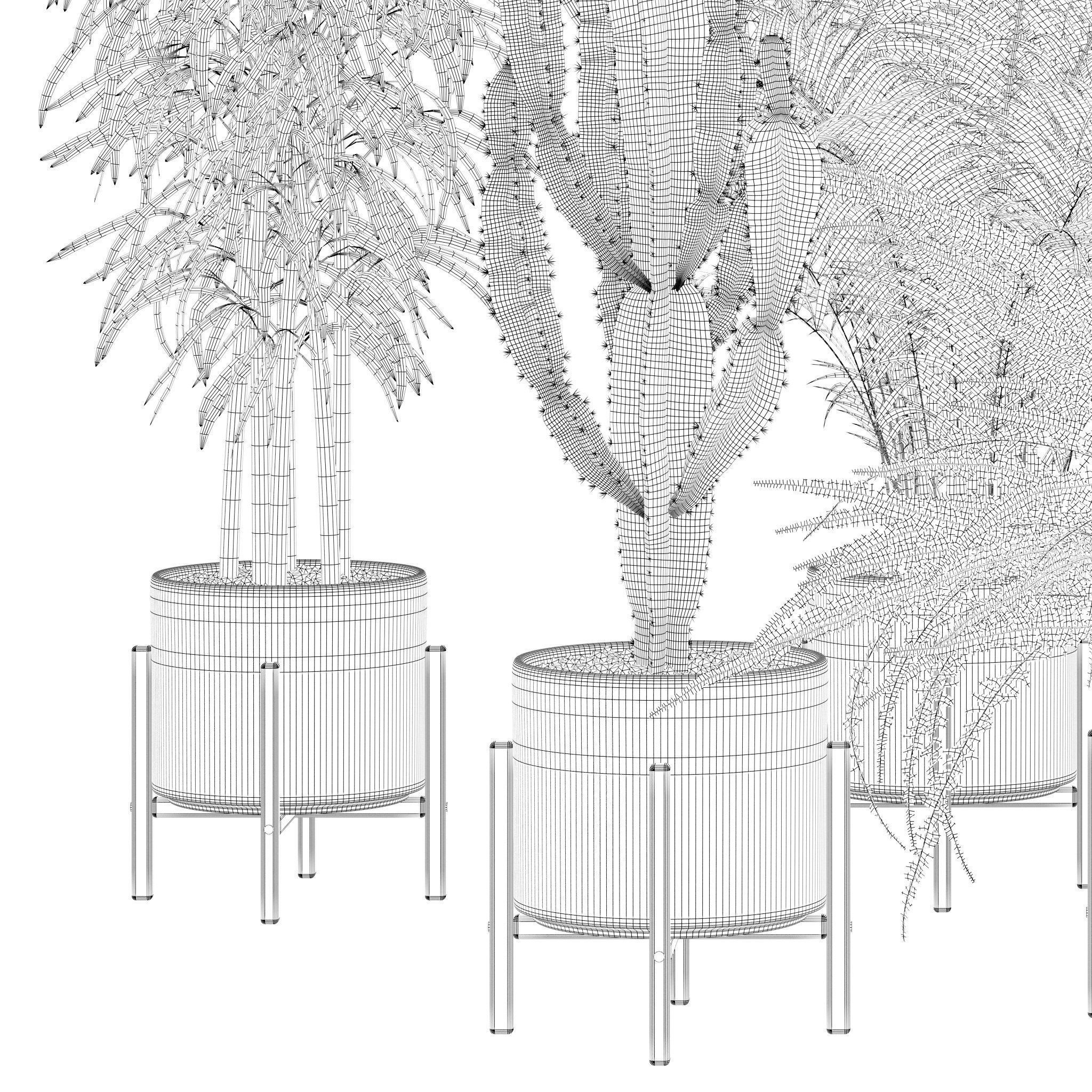 Plants collection 137 3D model_13