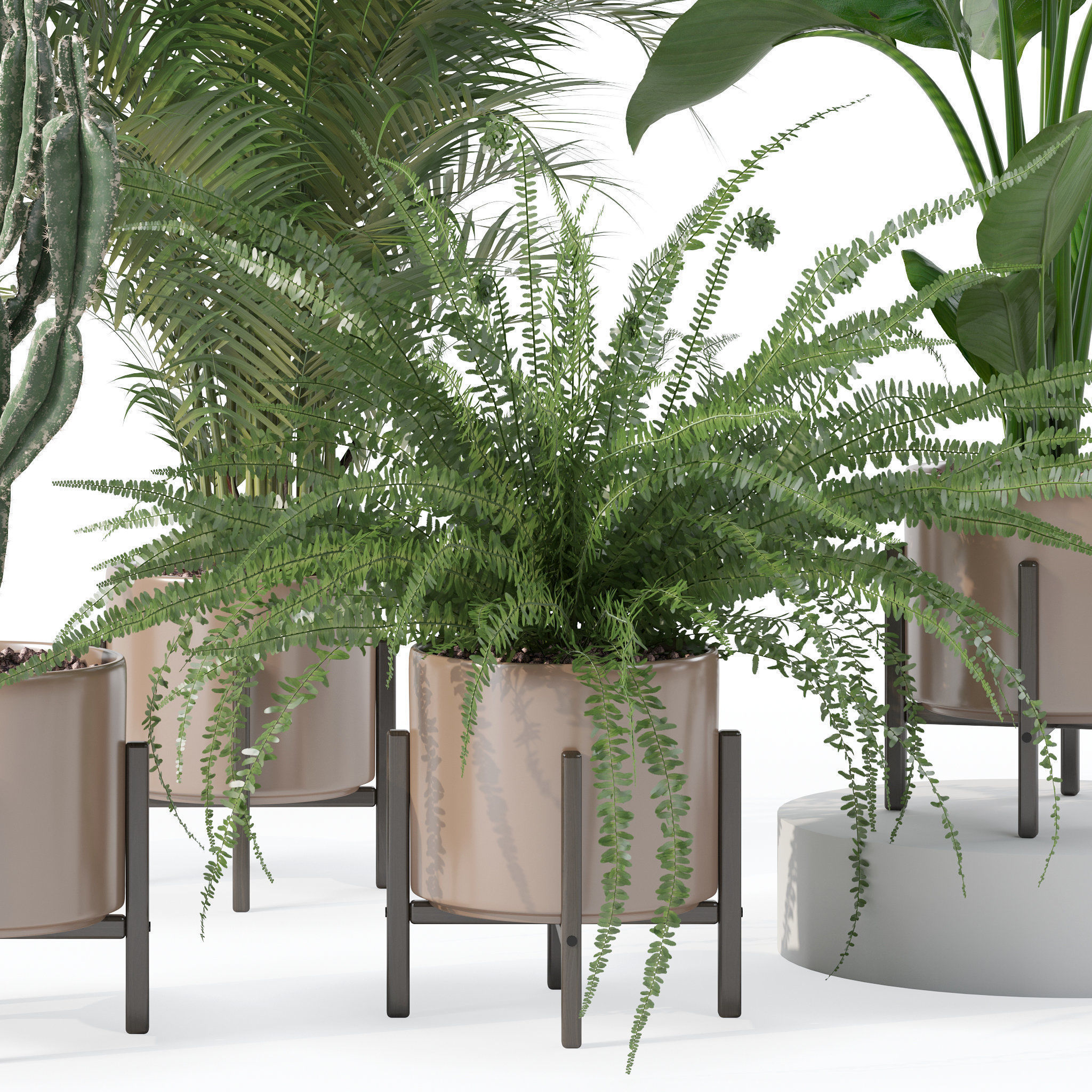 Plants collection 137 3D model_1