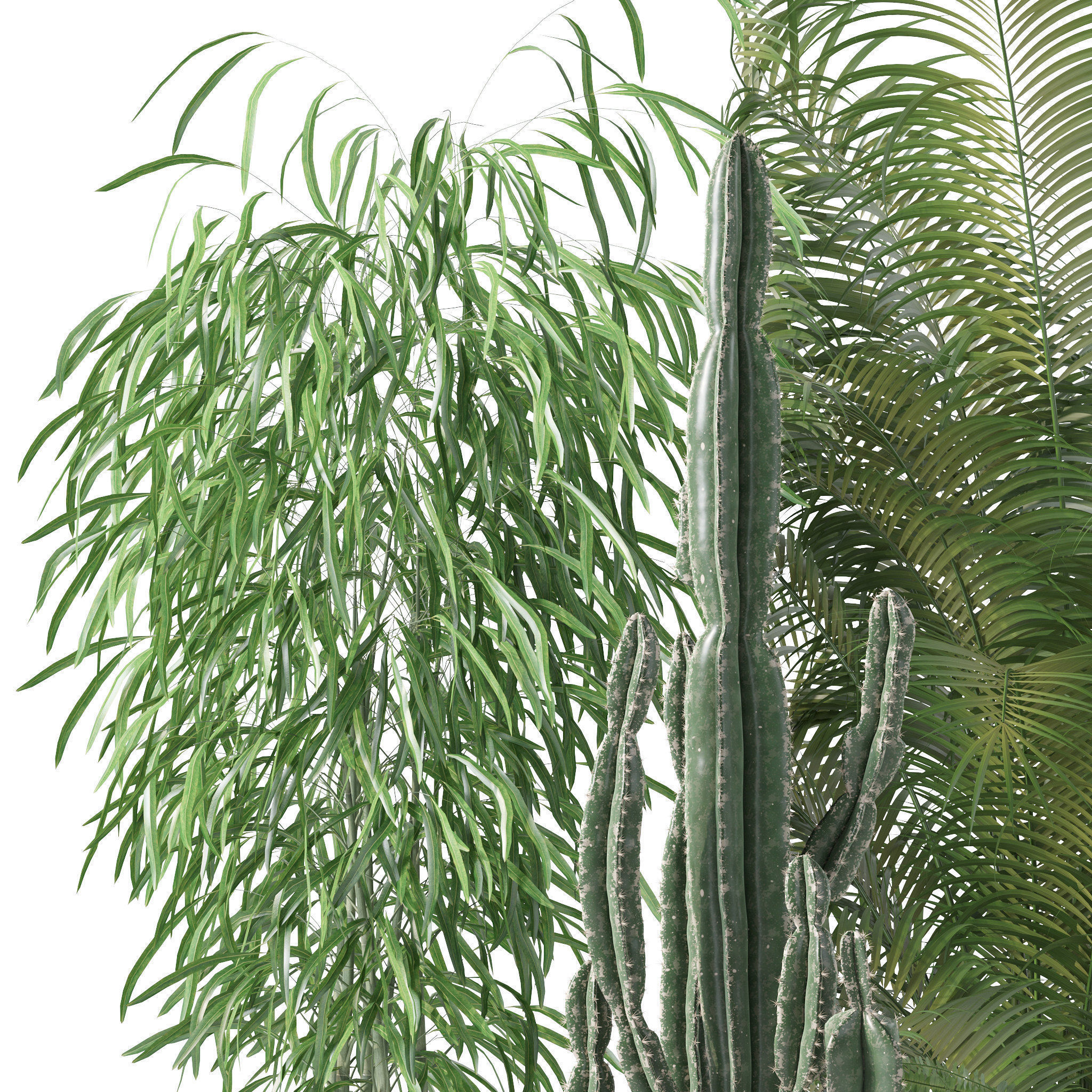 Plants collection 137 3D model_9