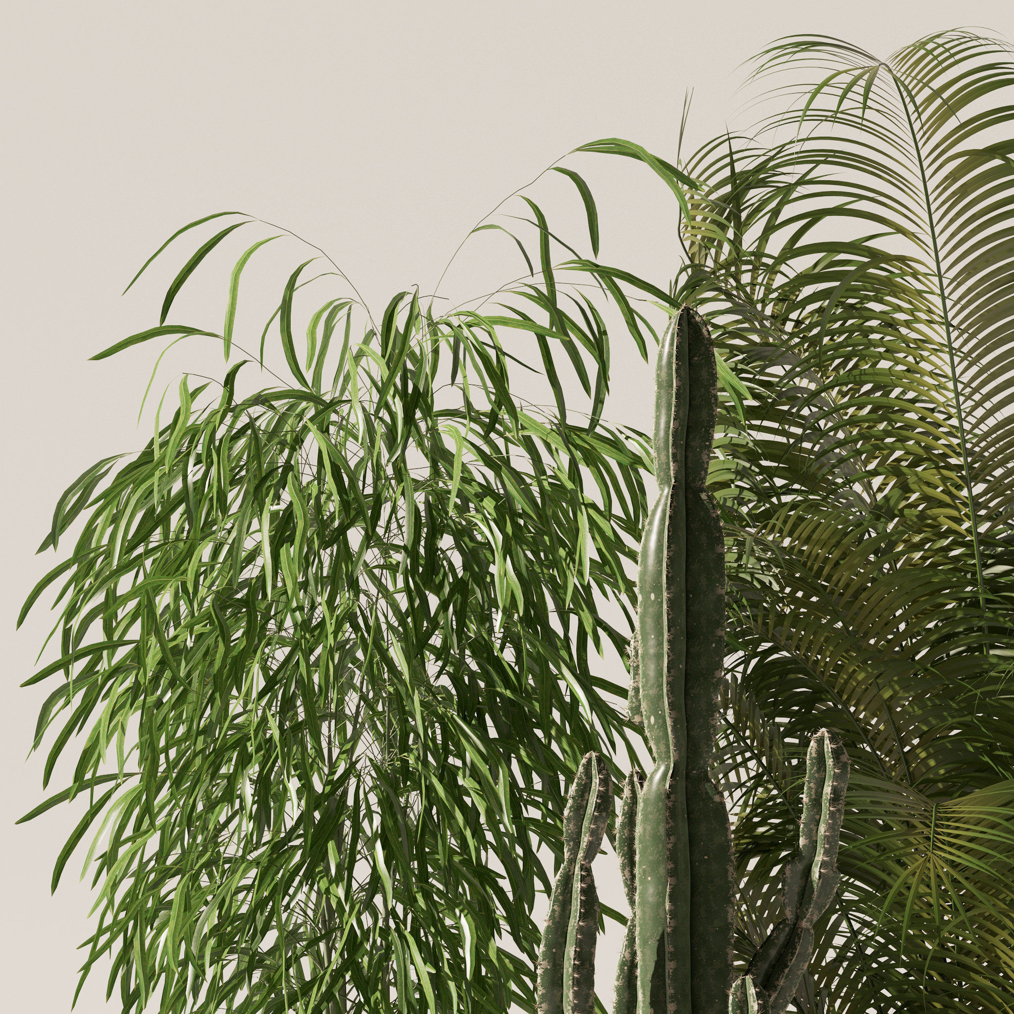 Plants collection 137 3D model_27
