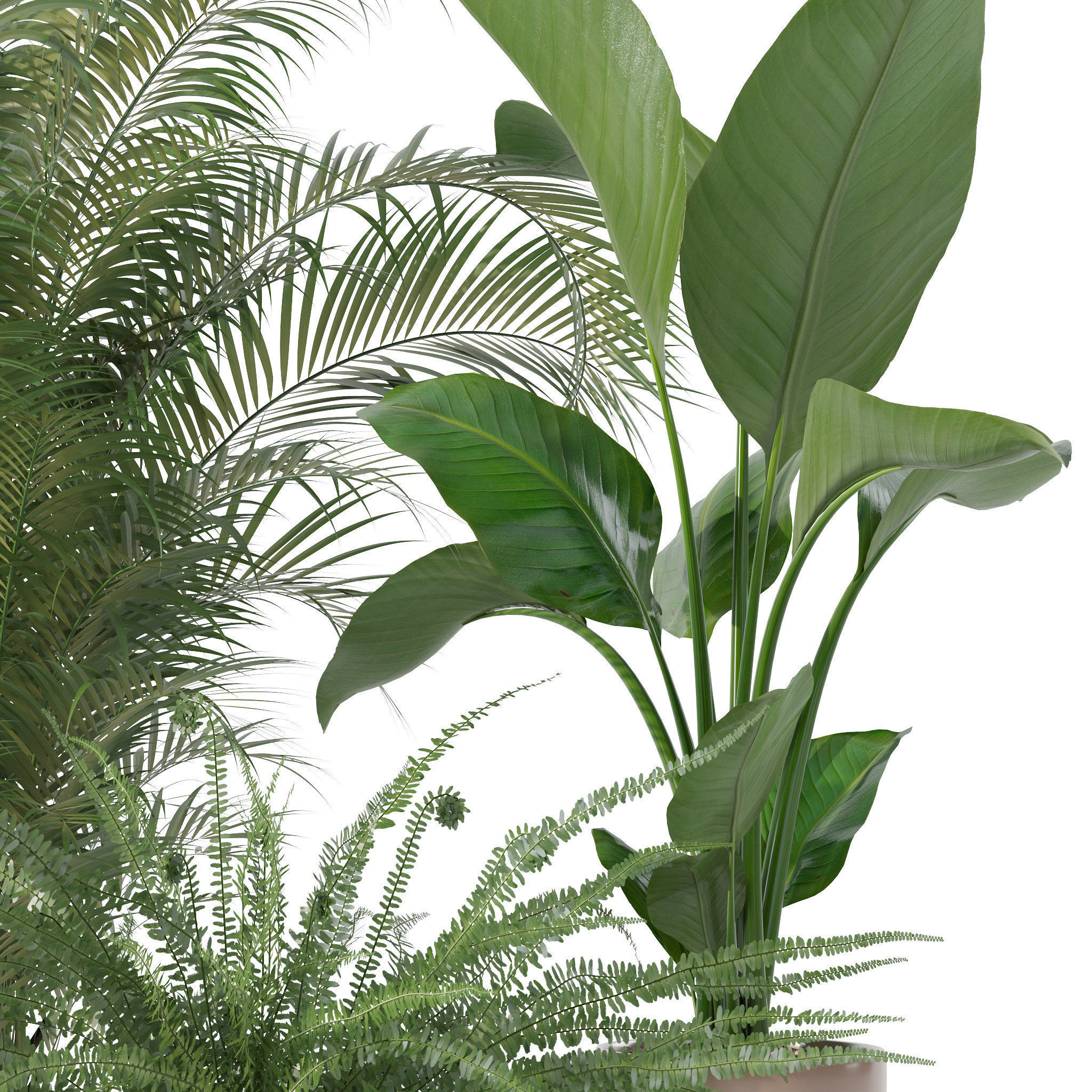 Plants collection 137 3D model_25