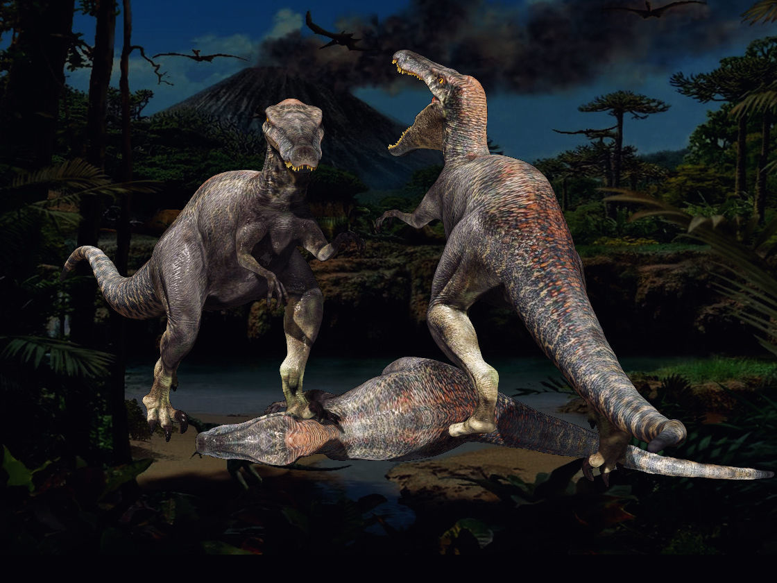 Velociraptor HP and LP 3D model_16