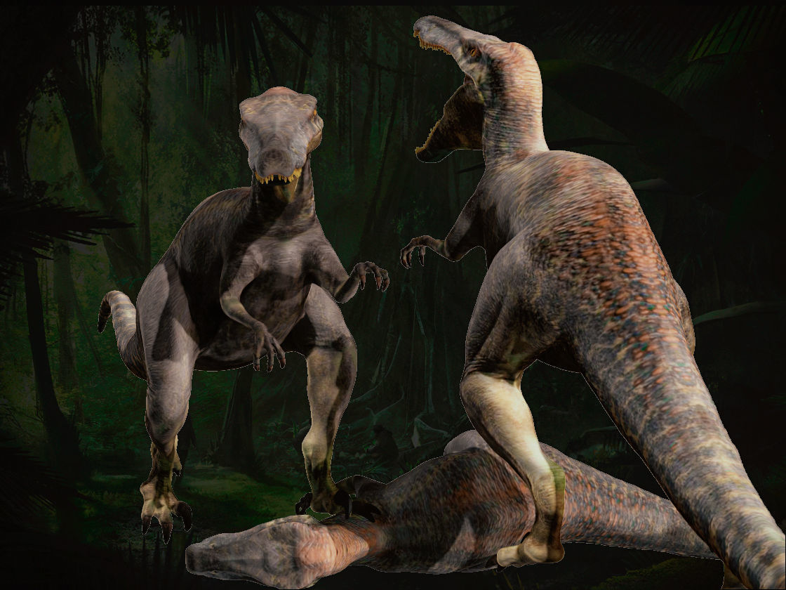 Velociraptor HP and LP 3D model_3