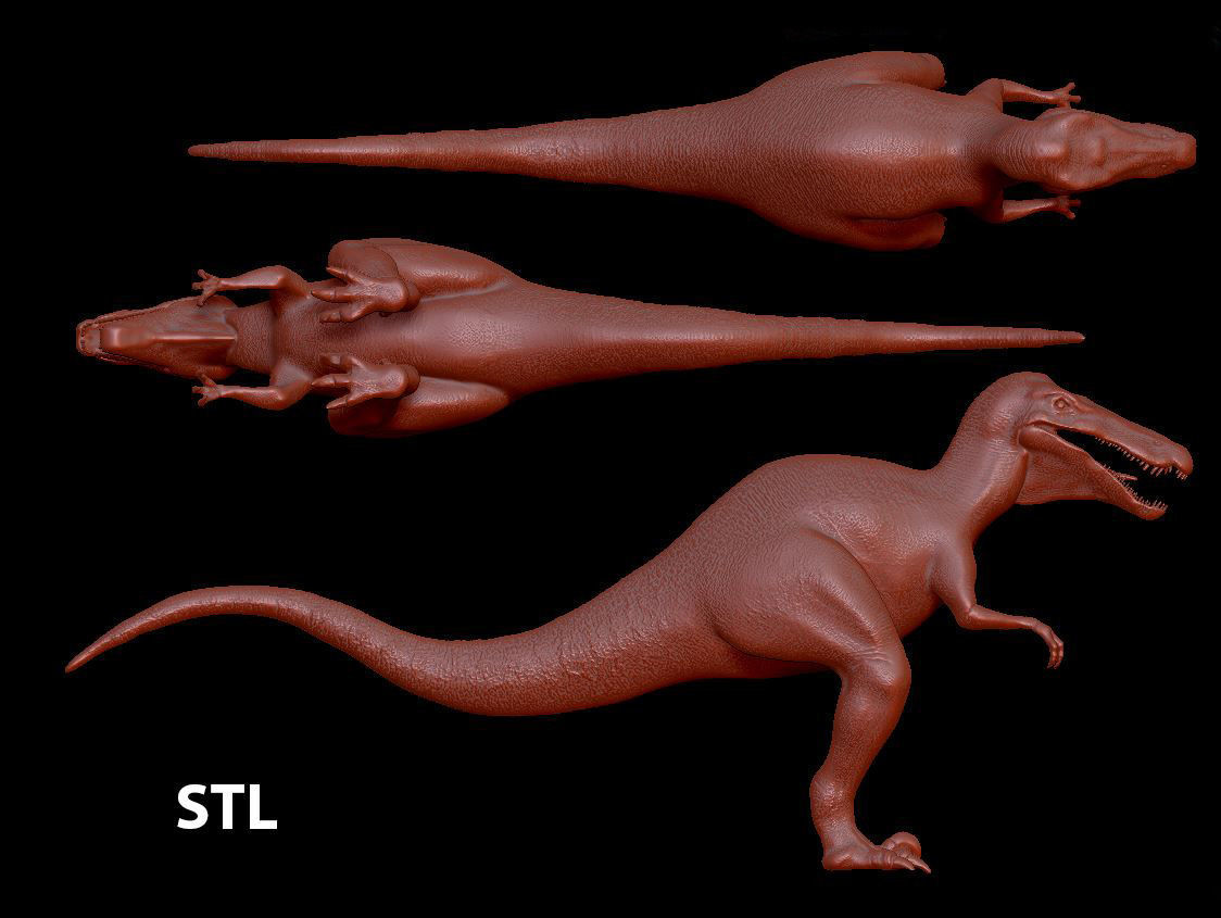 Velociraptor HP and LP 3D model_24