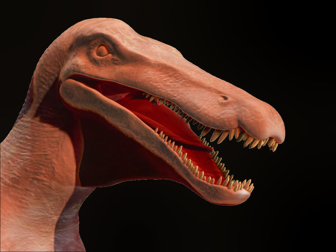 Velociraptor HP and LP 3D model_15