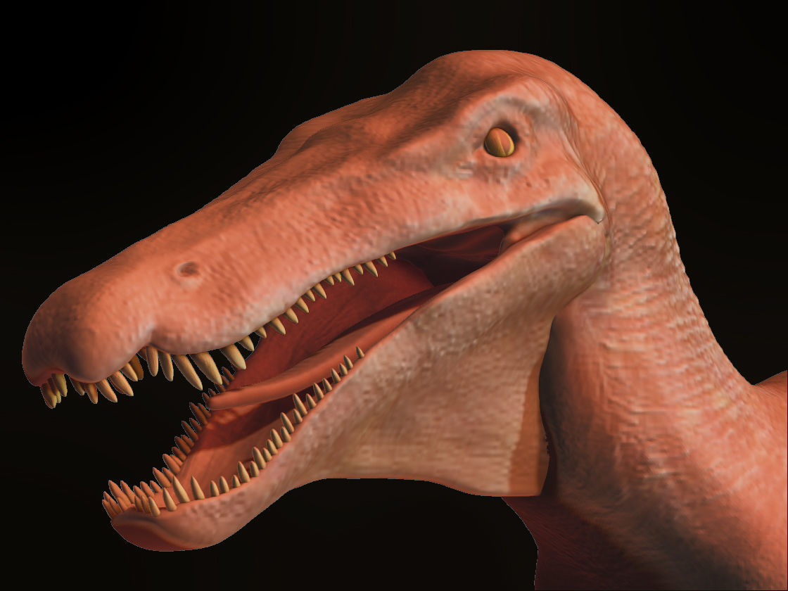Velociraptor HP and LP 3D model_14