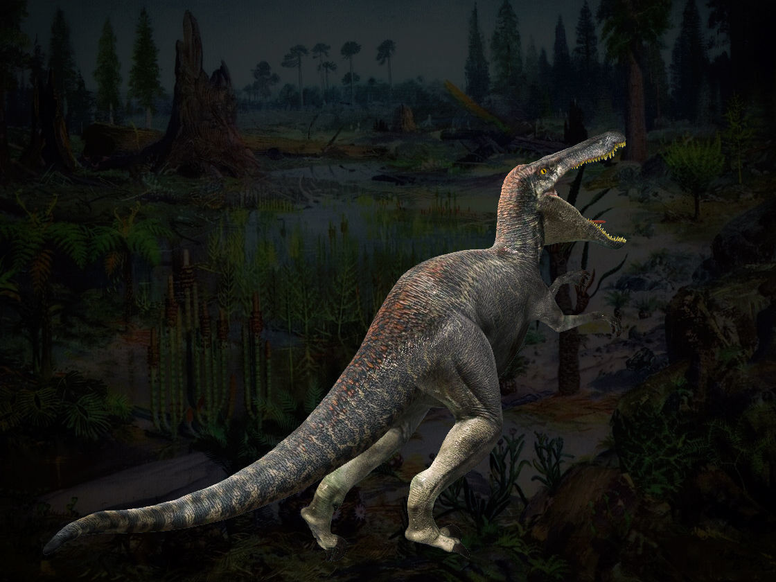 Velociraptor HP and LP 3D model_6