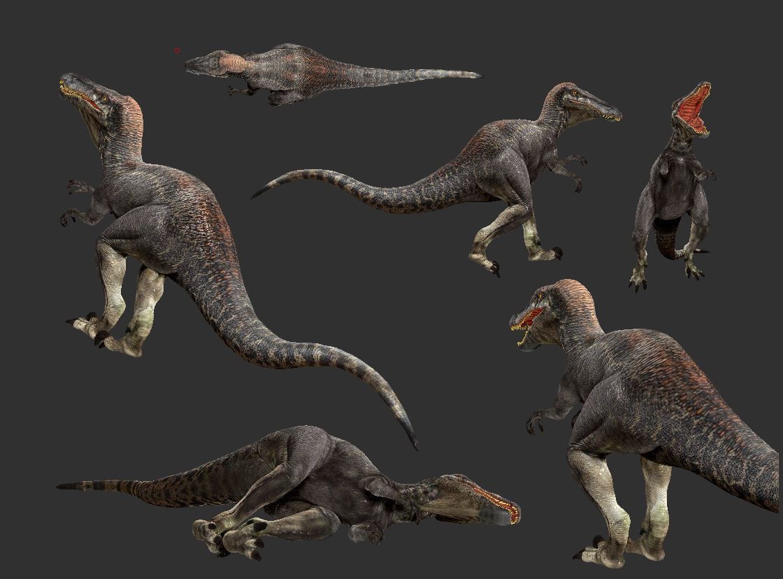 Velociraptor HP and LP 3D model_21