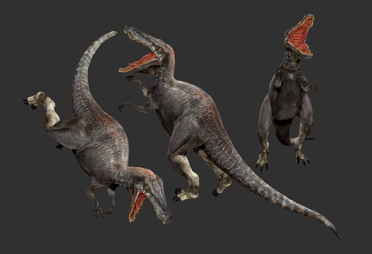 Velociraptor HP and LP 3D model_20