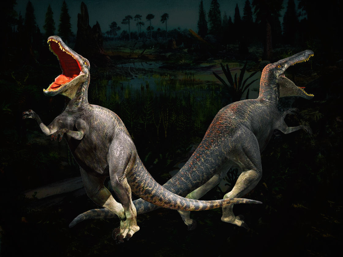 Velociraptor HP and LP 3D model_17