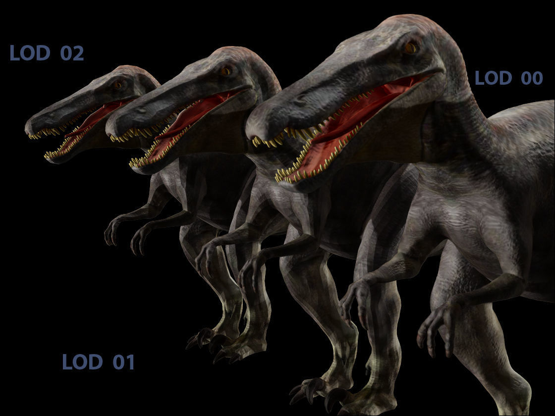Velociraptor HP and LP 3D model_11