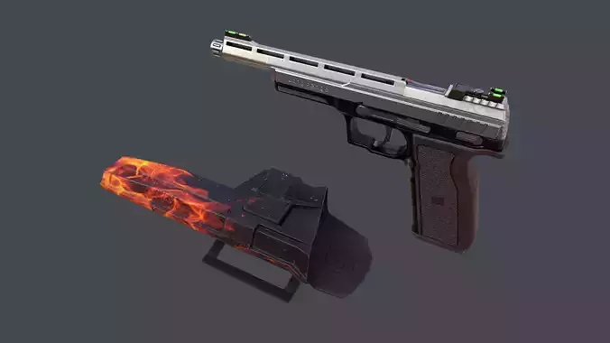 Pistol Long Range and Holster