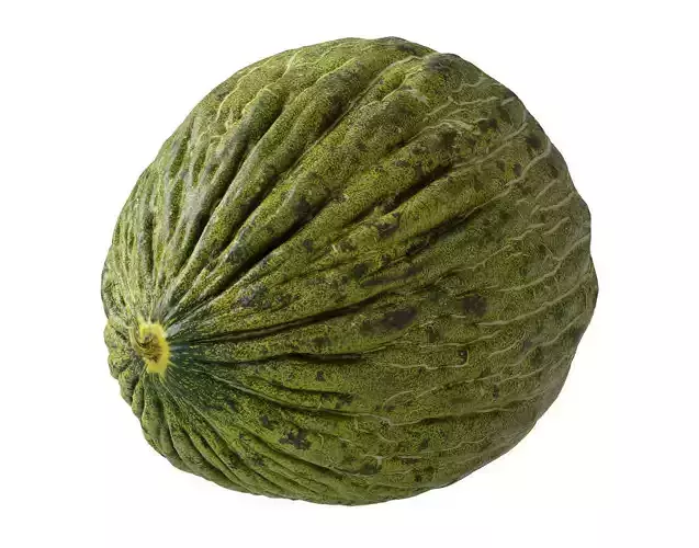Melon Piel De Sapo