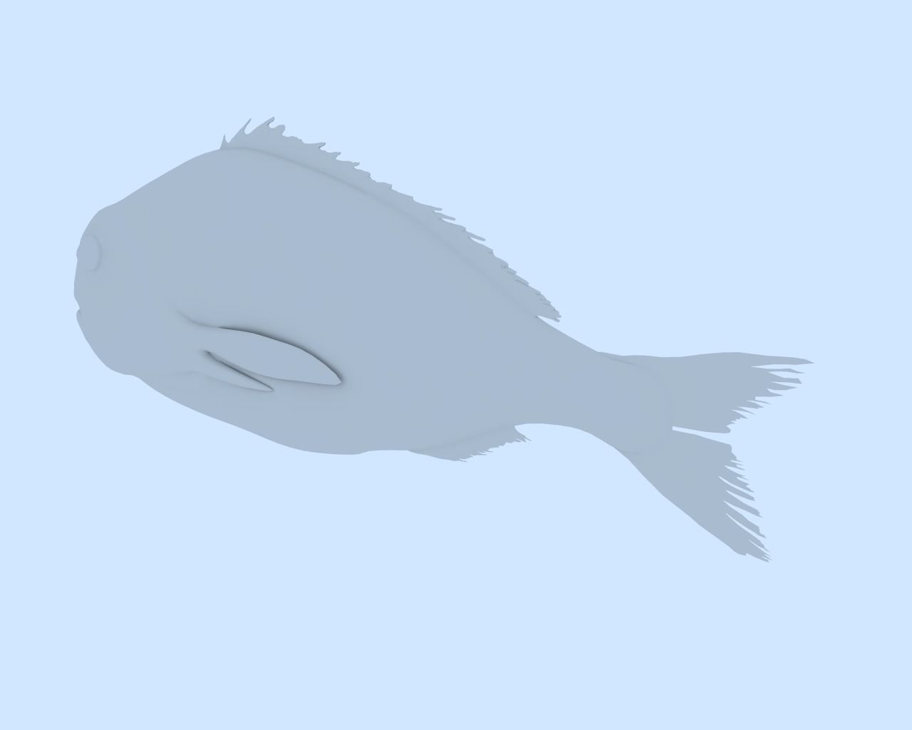 Gilt-head bream 3D model_8