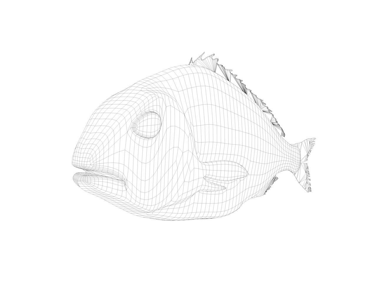 Gilt-head bream 3D model_14
