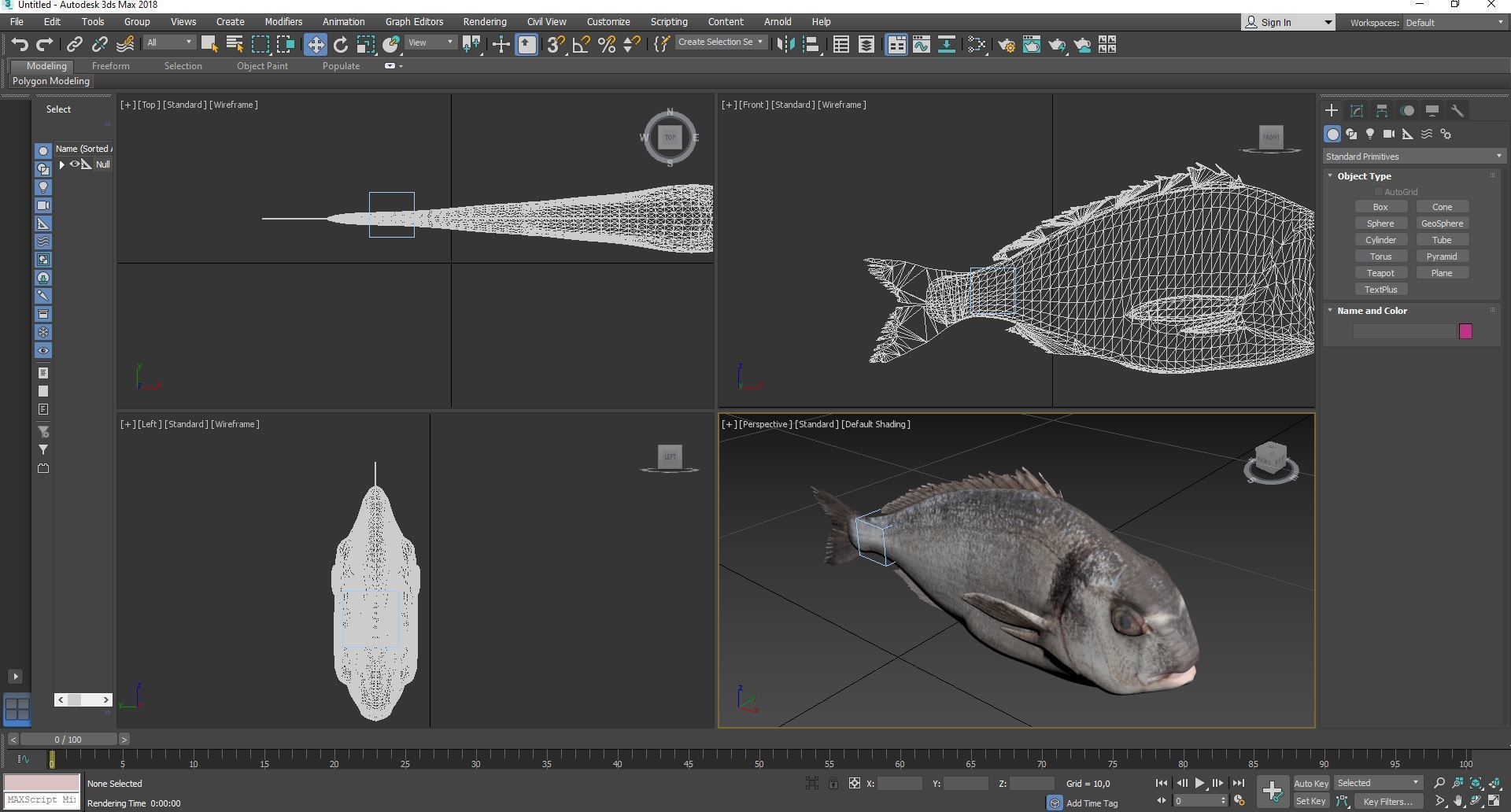 Gilt-head bream 3D model_11
