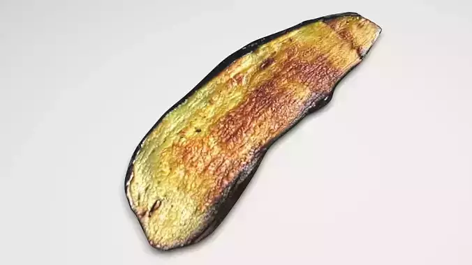 Fried Eggplant 3D model
