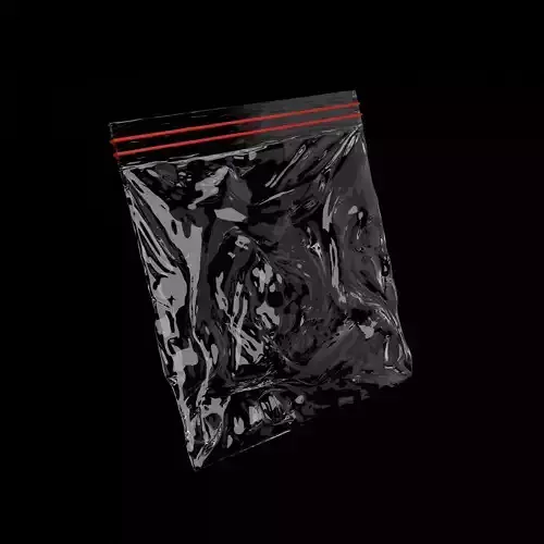 Zip packet 3D model