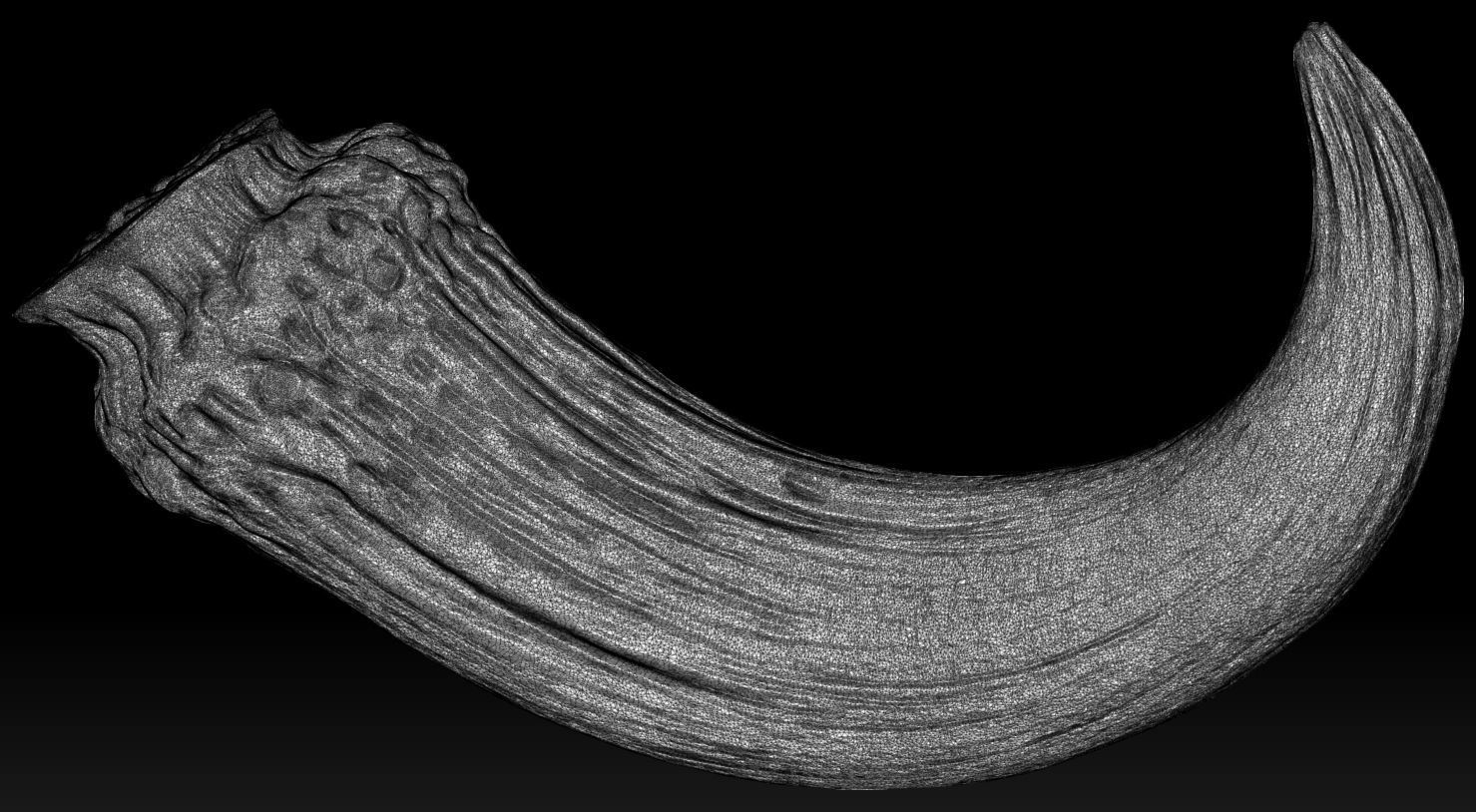 3D PRINTABLE MYTHOSAUR RIGHT HORN - THE MANDALORIAN STAR WARS 3D print model_6