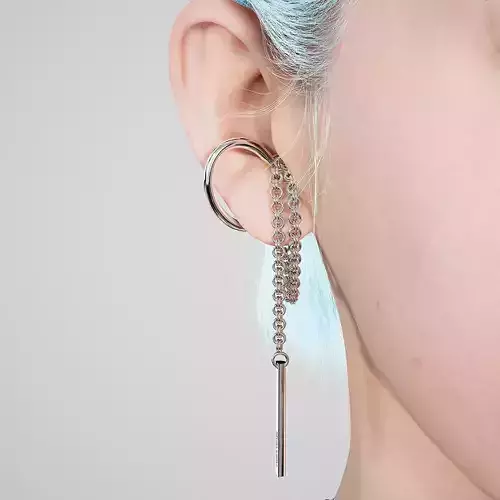 Earrings fashion
