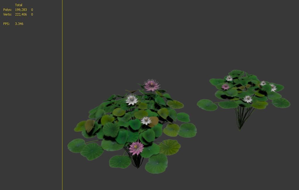 Water lilies 03 3D model_7