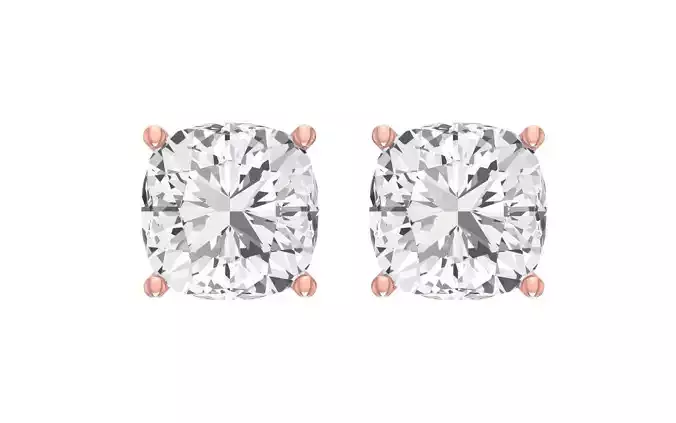 Women Stud  Earrings 3dm STL OBJ FBX Renders Details 3D print model
