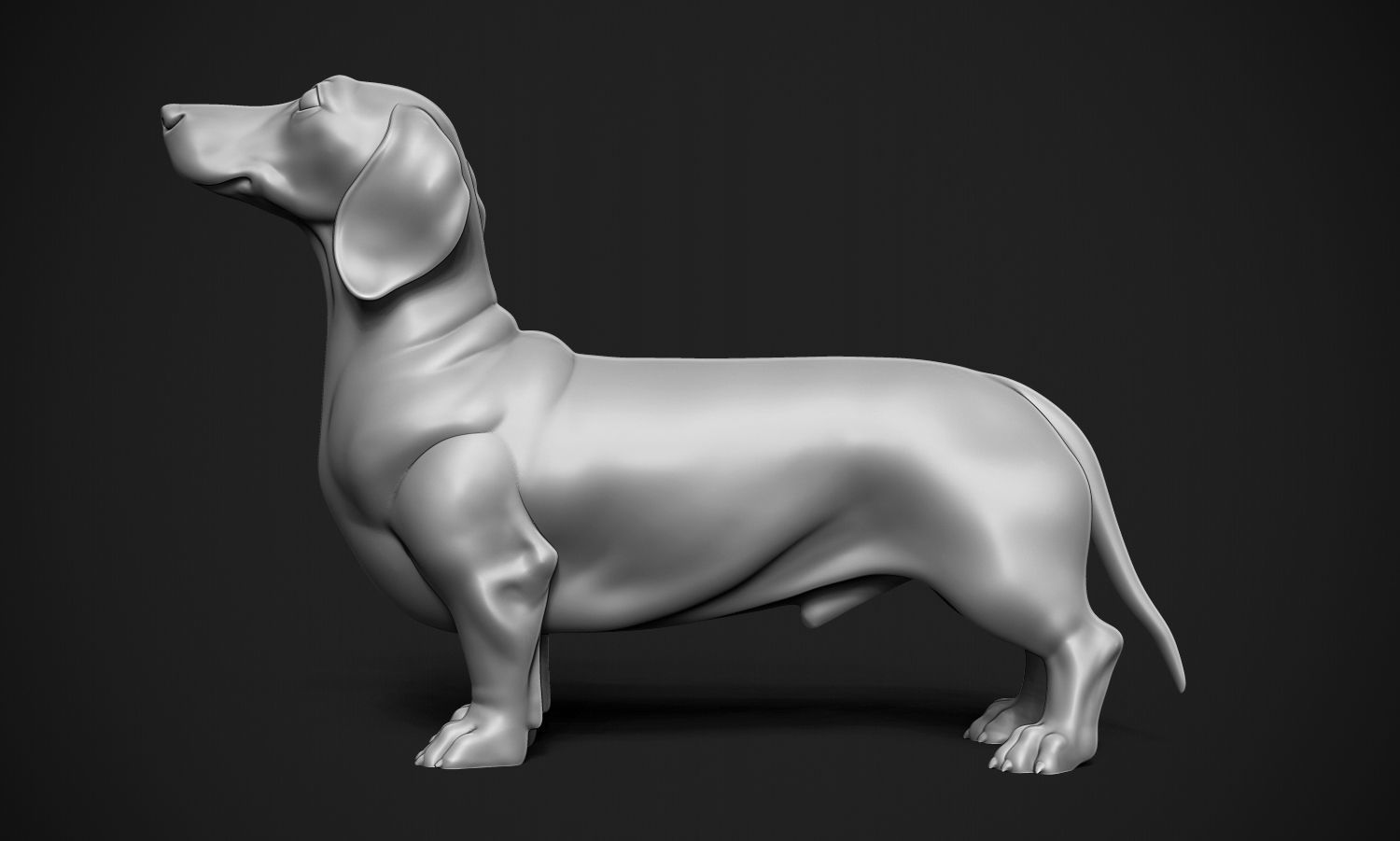 Dachshund 3D print model_3