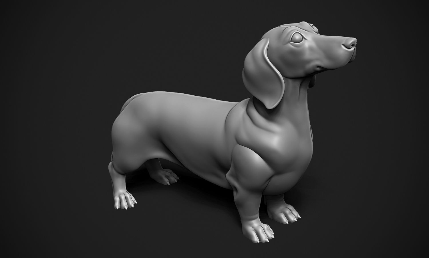 Dachshund 3D print model_6