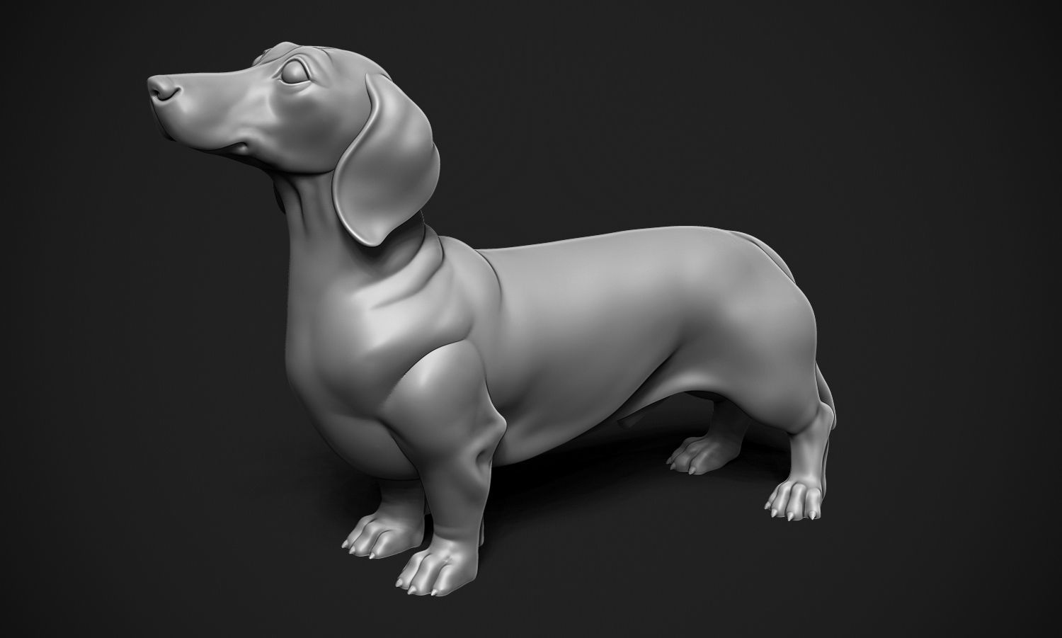 Dachshund 3D print model_2