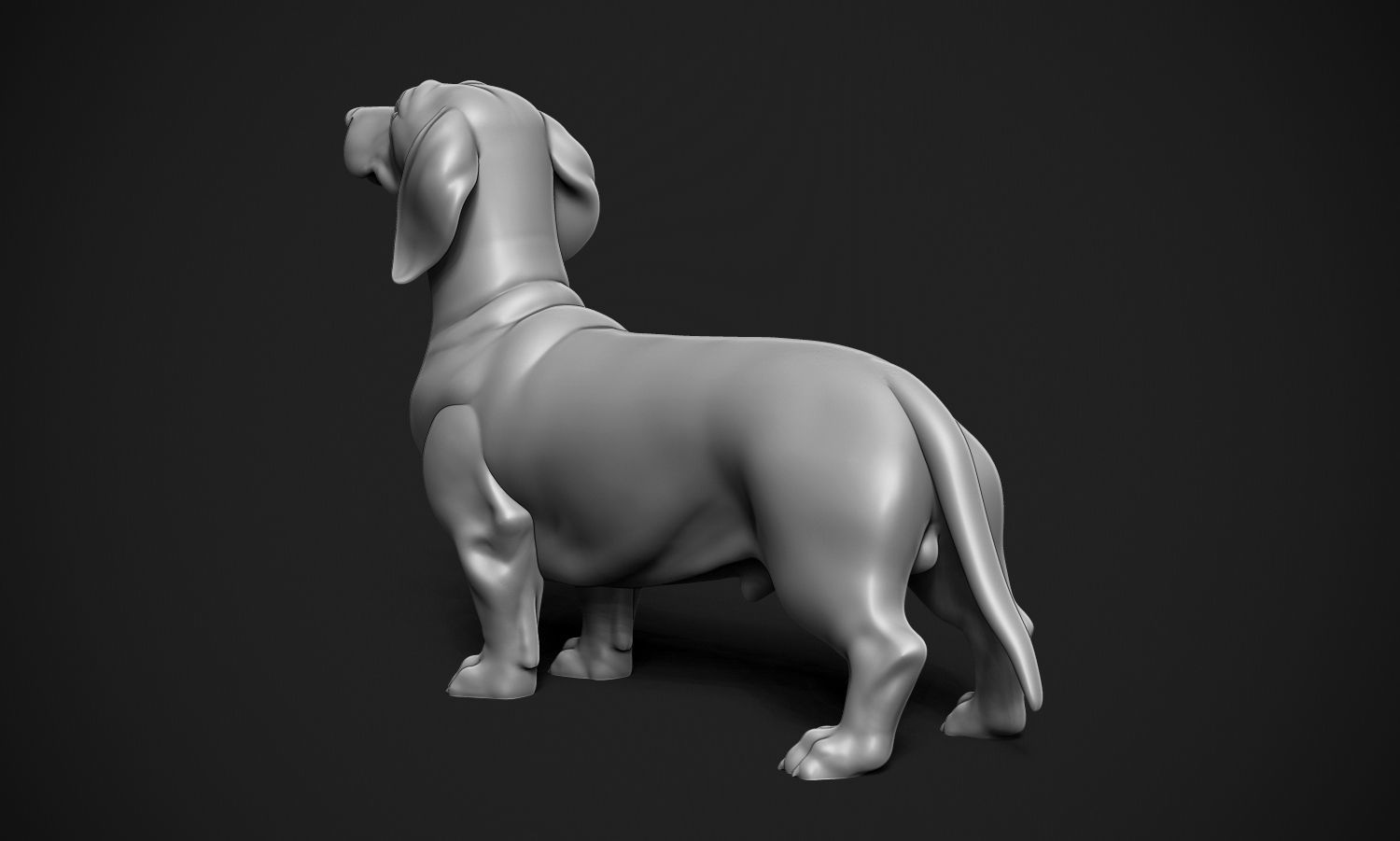 Dachshund 3D print model_4