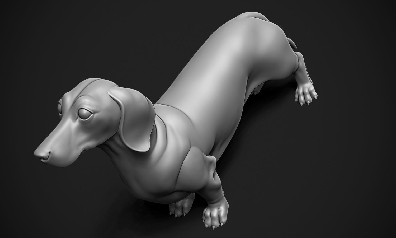Dachshund 3D print model_13