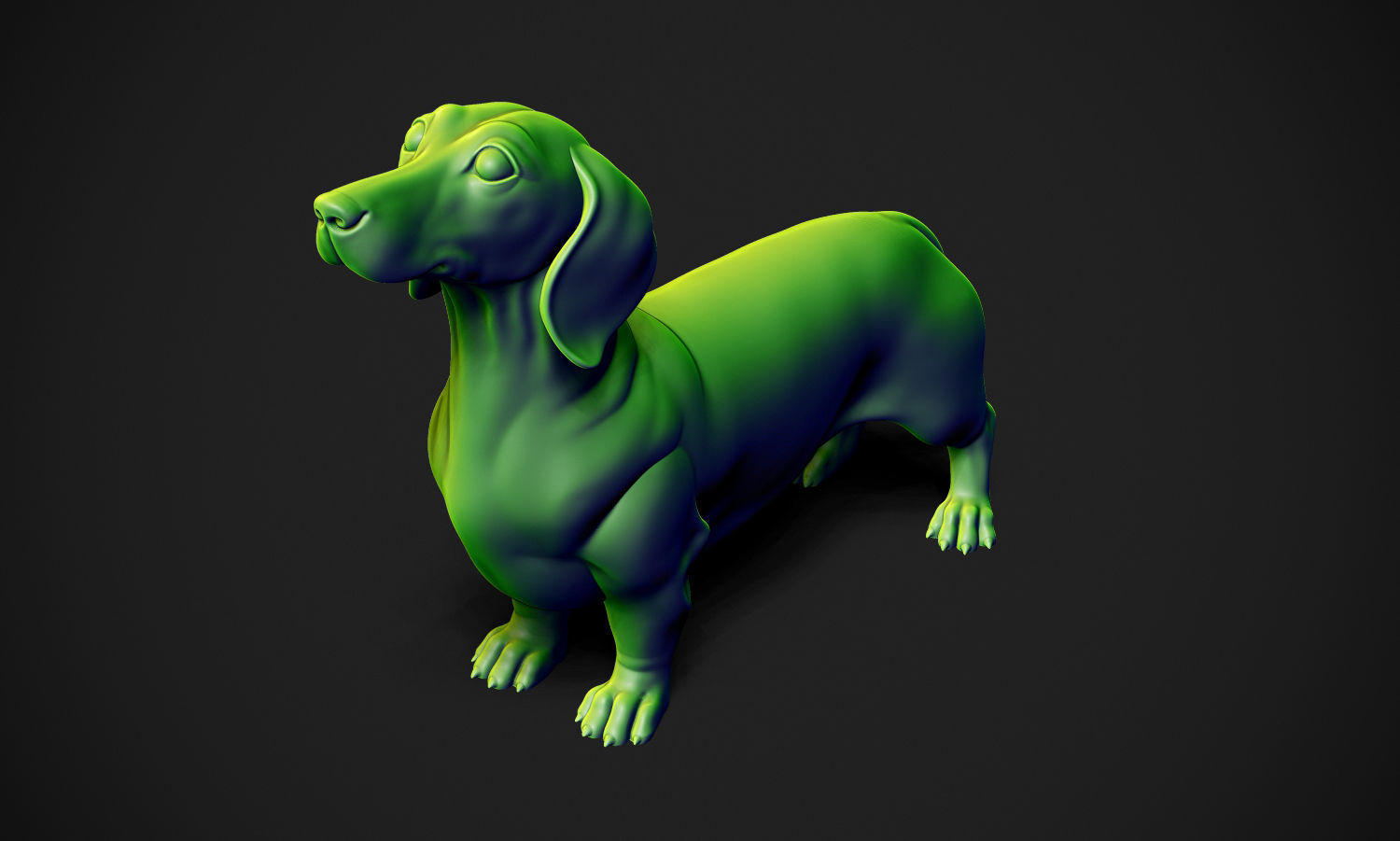 Dachshund 3D print model_11