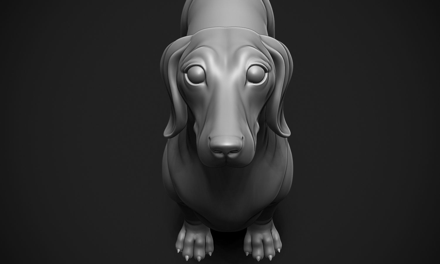 Dachshund 3D print model_9